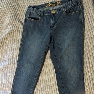 Seven 7 Blue Skinny Jeans